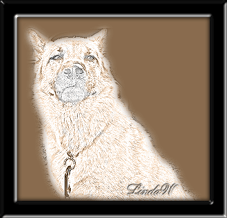 The Finished Image