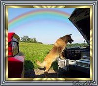 Click on thumbnail to see larger image